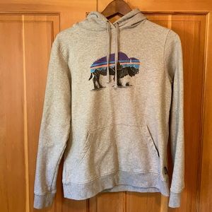 New Patagonia FitzRoy Bison Uprisal Hoodie Women M